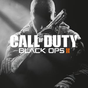 Call Of Duty Black Ops II 2 PC - Online Key